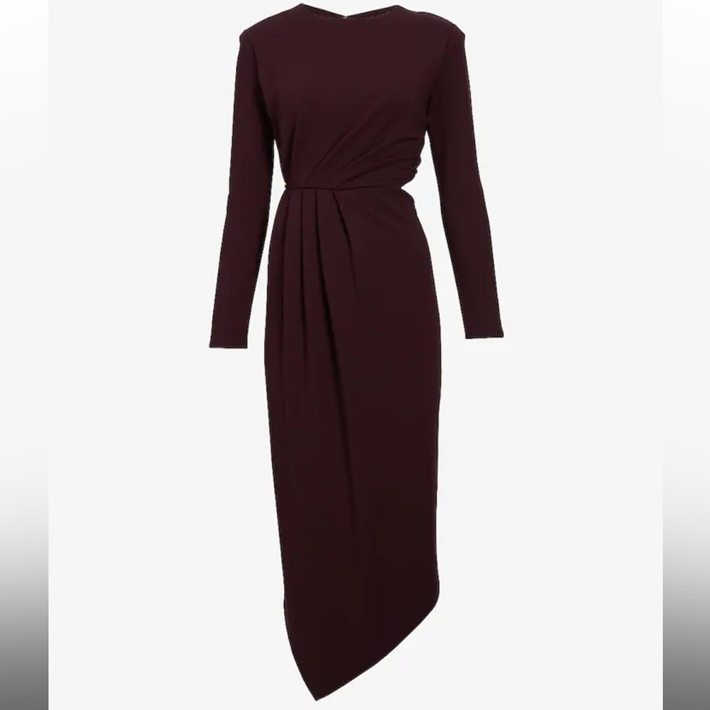 Express Women’s dress
